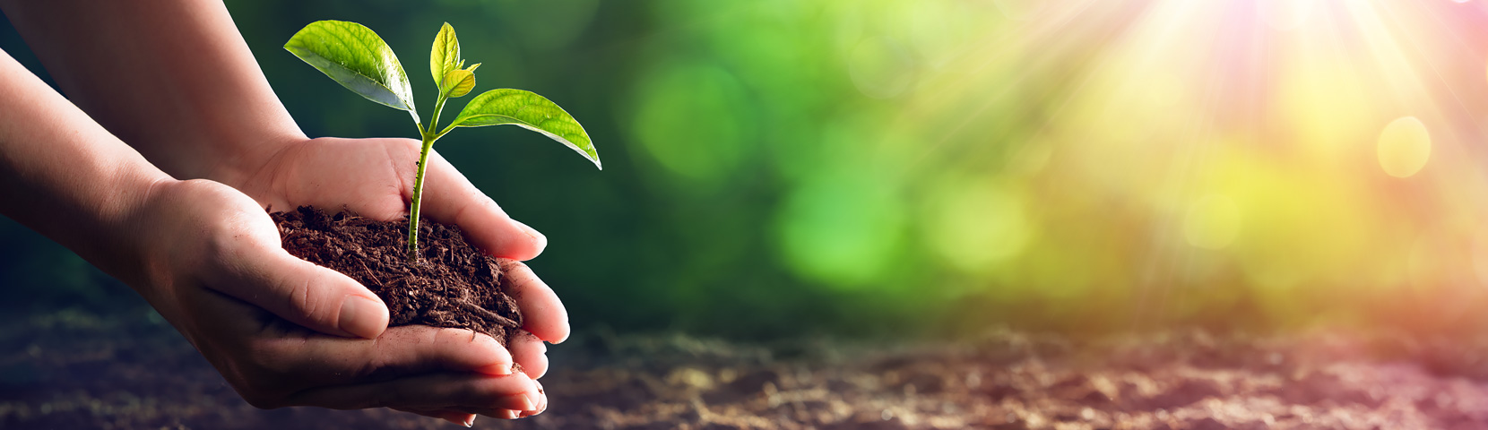 918������(�й���)�ٷ���վ